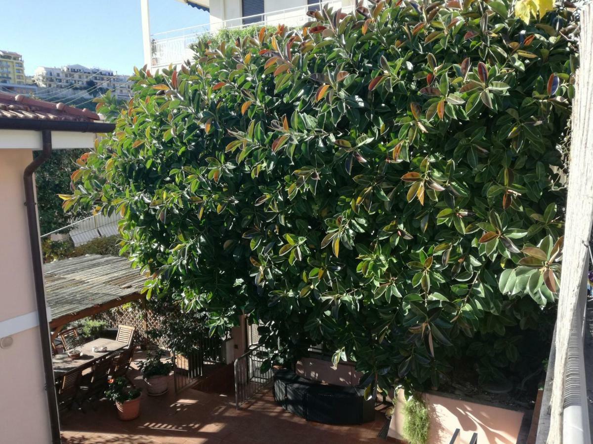 Villa Bruna B&B Sanremo Exterior foto